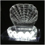 3D Carved Clam Shell