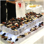 Food Tray