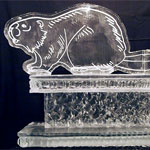 Beaver